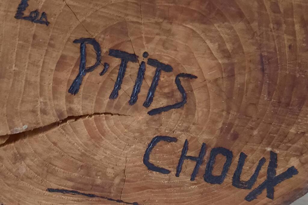 Gite Les Ptits Choux Saint-Quentin-Lamotte-Croix-au-Bailly エクステリア 写真